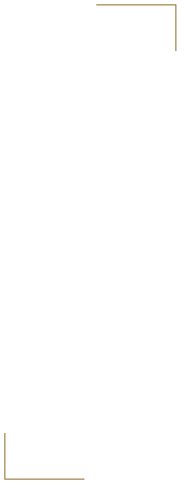 コレだから出せる味